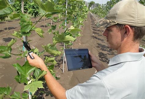 arbre nursery rfid